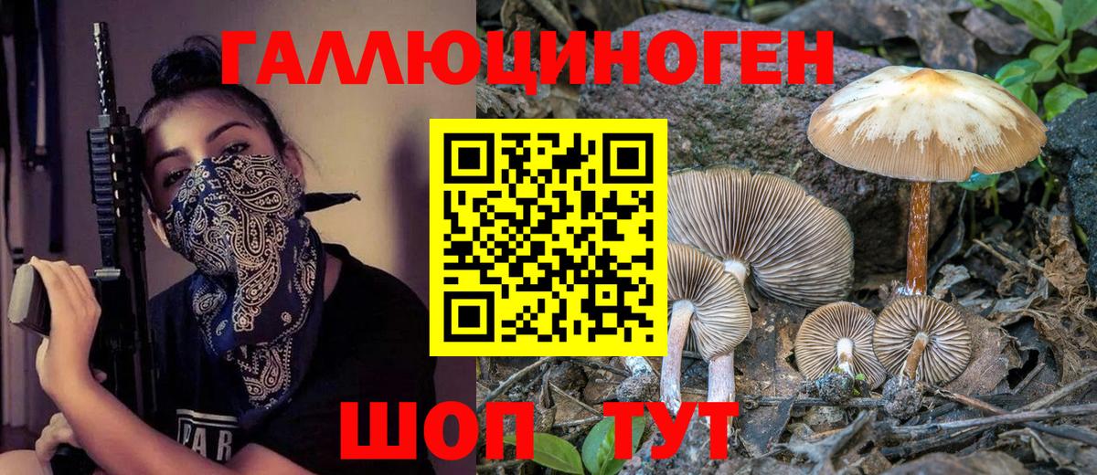 Псилоцибиновые грибы Magic Shrooms Сургут